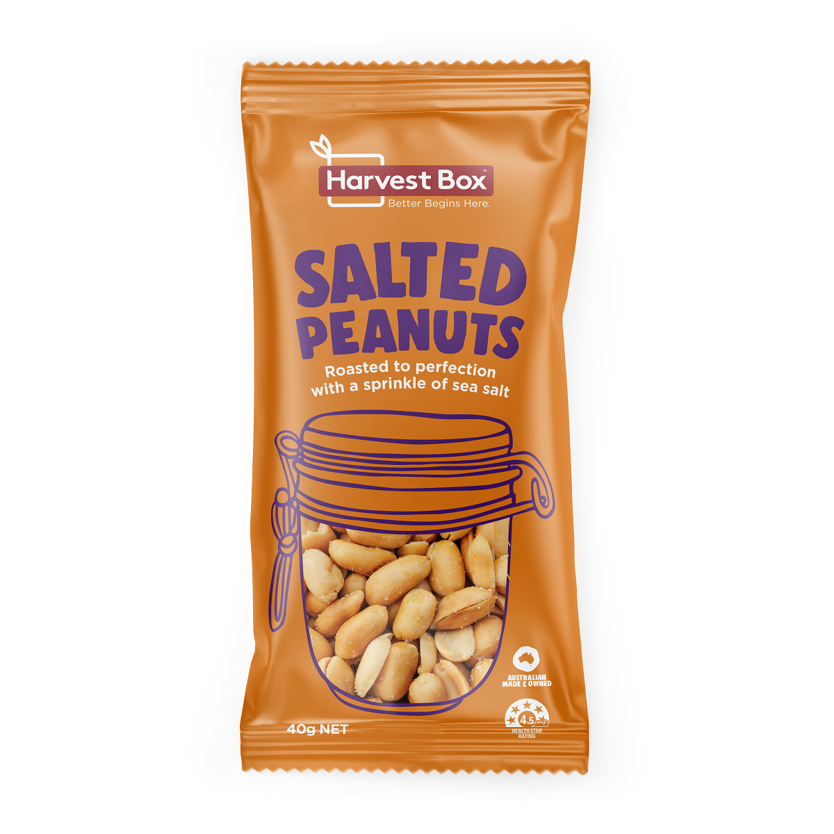 Salted Peanuts 40g x 10 Thin Packs